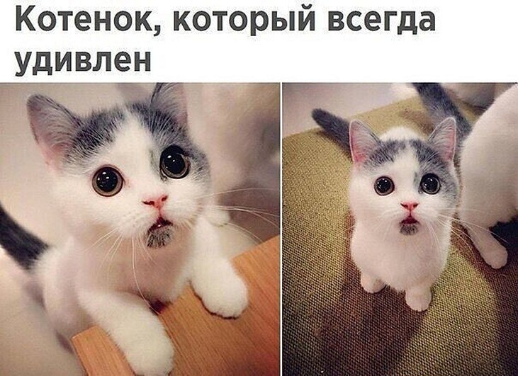 ? ,  ! - 3  2025  08:49