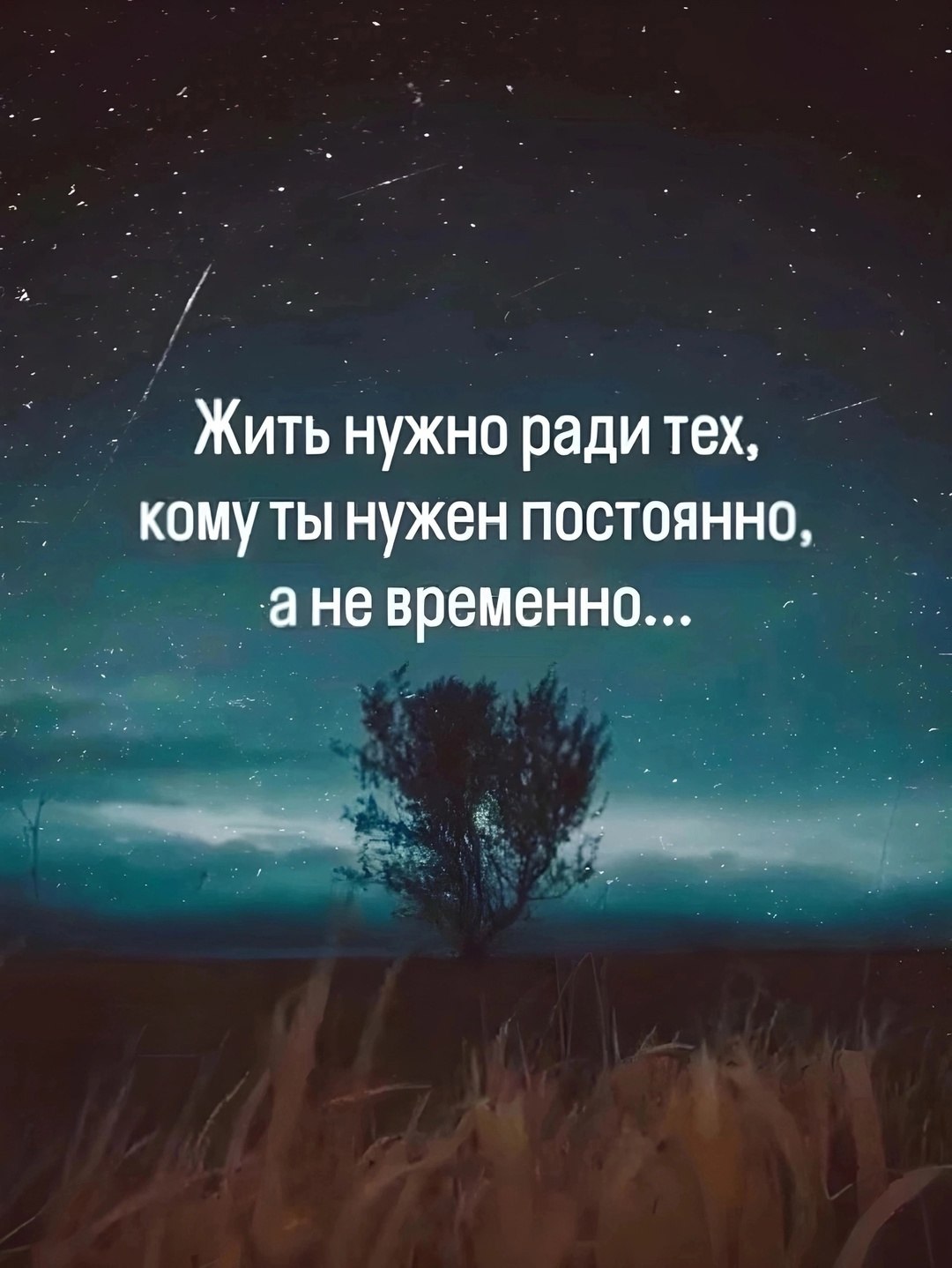  - 5  2025  07:33