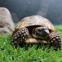 ���� John Doe, ���� - ��������� 25 ������ 2025 � ������ ������ ��������