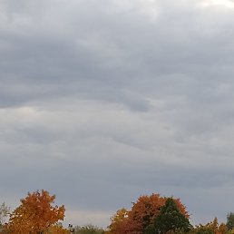 ���� ���������, ��������, 65 ��� - ��������� 20 ������� 2026