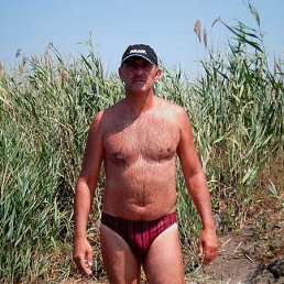  , 54, 