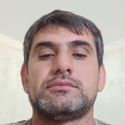 , , 44 