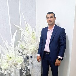 , 33, 
