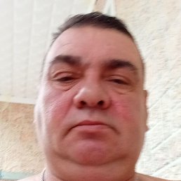 �����, ��������, 56 ���