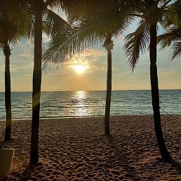 ���������, ���������