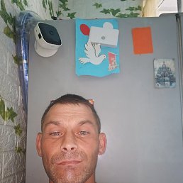 ����, 42 ����, ������