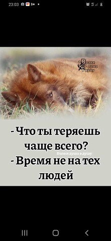 ���� �������, ������, 41 ��� - ��������� 14 ������ 2024