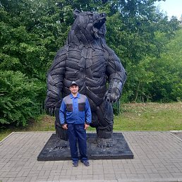 , 35, 