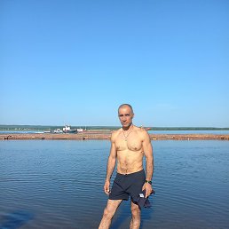 �����, ����������, 46 ���