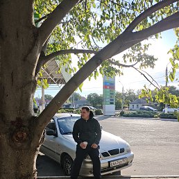 , 33, 