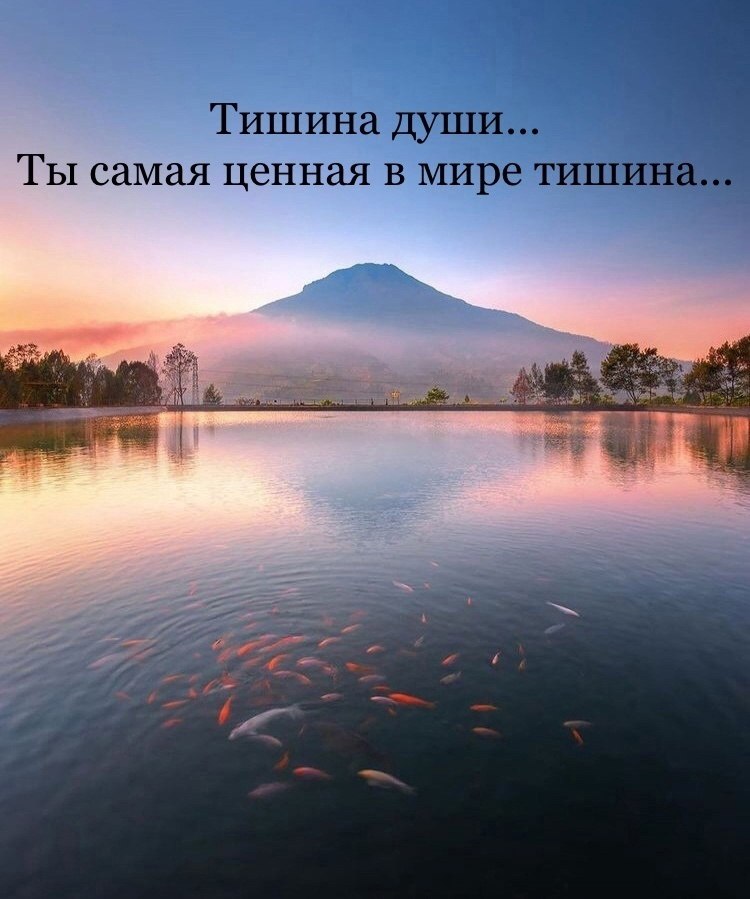  - 24  2024  06:16