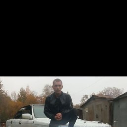 ���� ����, �����, 41 ��� - ��������� 15 ����� 2026