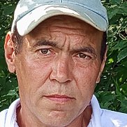 , 43 , 