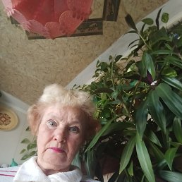 ���� �������, ������, 77 ��� - ��������� 21 ����� 2024