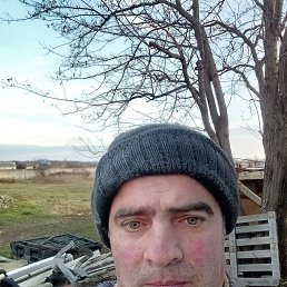  , 46, 