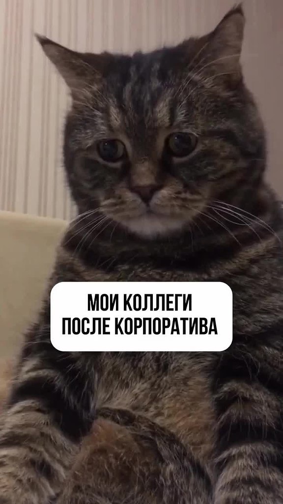        )