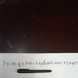 ���� Saidnabixon, ������, 28 ��� - ��������� 6 ������ 2024