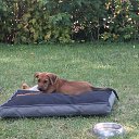 ���� �� ����, ����� - ��������� 17 ������ 2025 � ������ ������ ��������