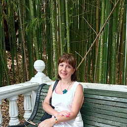 ���� ��������, ������������, 45 ��� - ��������� 17 ������ 2026