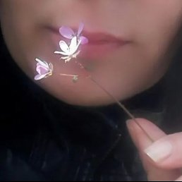 Elena, �����, 42 ����