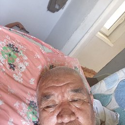, 66, 