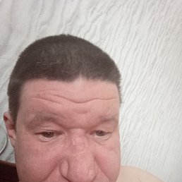 �����, 41 ���, ������������