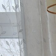 ��������, 50 ���, ������