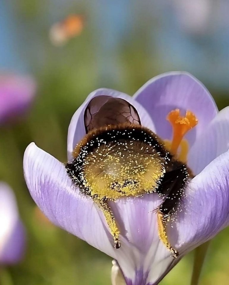 �� �c�a�oc�� ��e�� �ac��a�� �p��o � ��e��a�, � �o���o �o��a�a� ��o��a�, ��c�a��e��a� ��� �c�pa�e���, ...