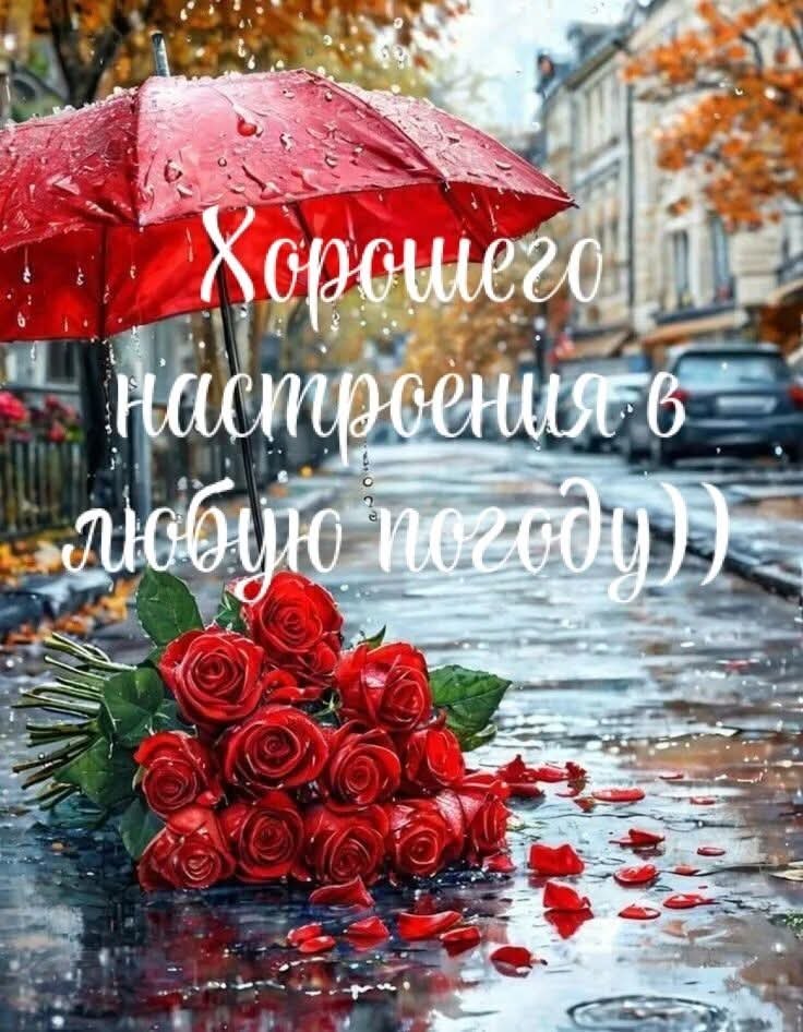   - 7  2025  15:59