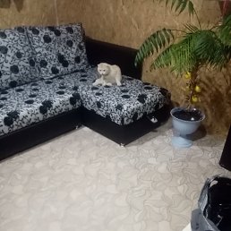 ���� ���������, ���������, 37 ��� - ��������� 25 ������� 2023