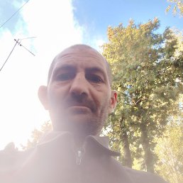 , 37, 