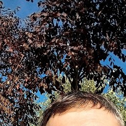 ��������, ������, 35 ���