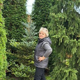 ������, ������, 63 ����