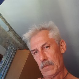 , 56, 