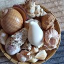 ���� ����, ������, 37 ��� - ��������� 14 ������� 2025