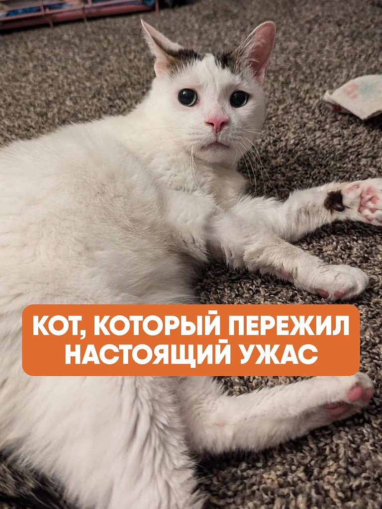     11-    , , ,     ...