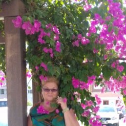 ���� �����, ����, 63 ���� - ��������� 19 ������� 2025