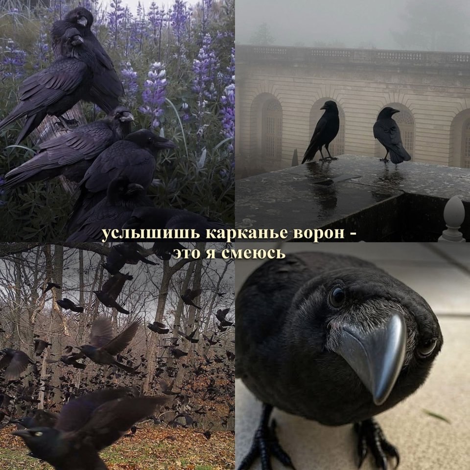      ... - 3