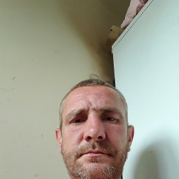 , 41 , 