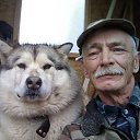 ���� �������, ���������, 68 ��� - ��������� 10 ����� 2024 � ������ ���� ����������