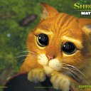 ���� �, �����, 49 ��� - ��������� 30 ������� 2024 � ������ ���� ����������