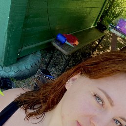 , 32, 