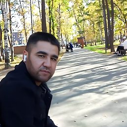 , 33, 