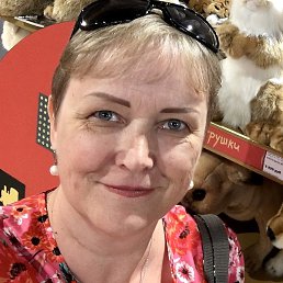 �����, �����������, 55 ���