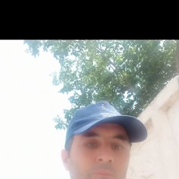 , 33, 