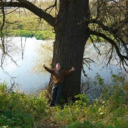 ��������, ������, 77 ���