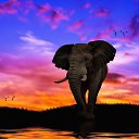 ���� ����, �������, 53 ���� - ��������� 3 ������� 2025 � ������ ���� ����������