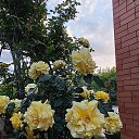 ���� ������, ���������, 43 ���� - ��������� 4 ���� 2024 � ������ ���� ����������