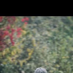 ����, �����, 68 ���