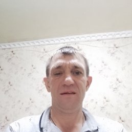 ���� ��������, �������, 48 ��� - ��������� 3 ������ 2024